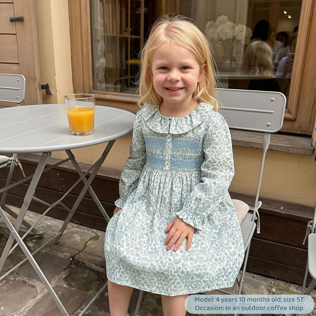 Toddler Girls Smocked Dress,Long Sleeve