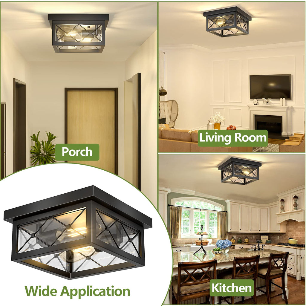 Farmhouse Light Fixtures Ceiling Mount, 2-Light Black Flush Mount Ceiling Light with Clear Glass Shade, Metal Cage