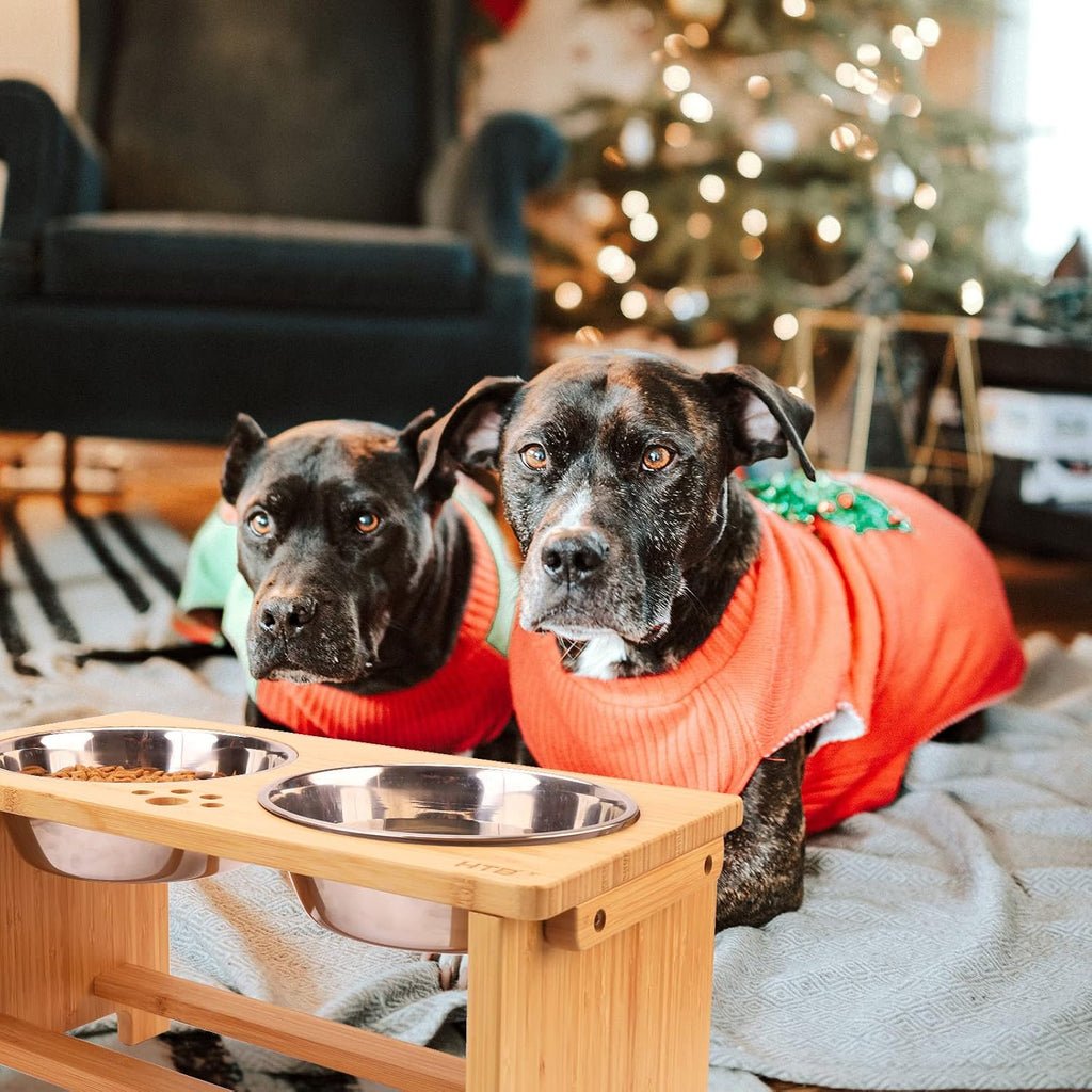 Elevated Dog Bowls, Raised Dog Bowl Stand with 2 Stainless Steel Bowls, Elevated Raised Dog Bowls for Large Medium
