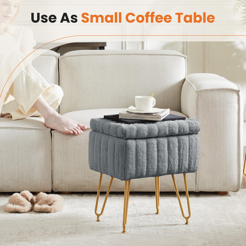 Vanity Stool Chair with Storage, 18.9"H x 16"L x 12.2"W Ottoman Chair Faux Fur Soft Padded Makeup Footstools Seat