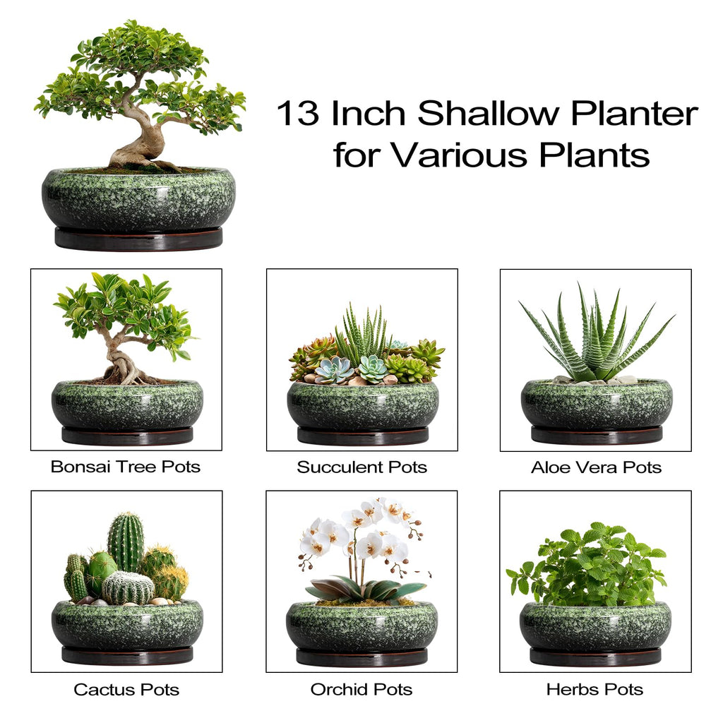 Bonsai Pots - 13 Inch Ceramic Succulent Planters Indoor, Round Shallow Planter with Drainage Hole and Saucer, Large