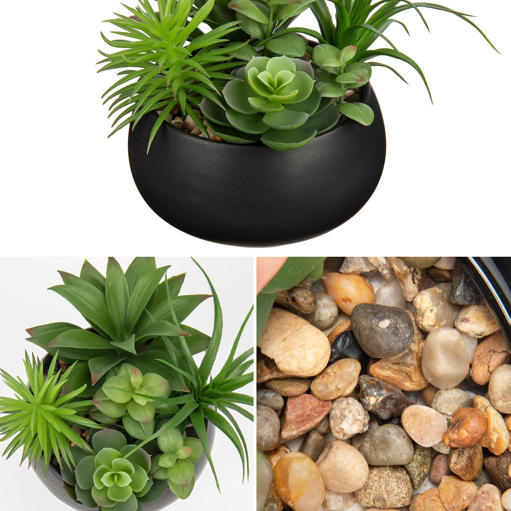 Fake Plants Artificial Succulents in Pots Faux Succulent Arrangement Potted Plant in Black Ceramic Planter Bowl Decor