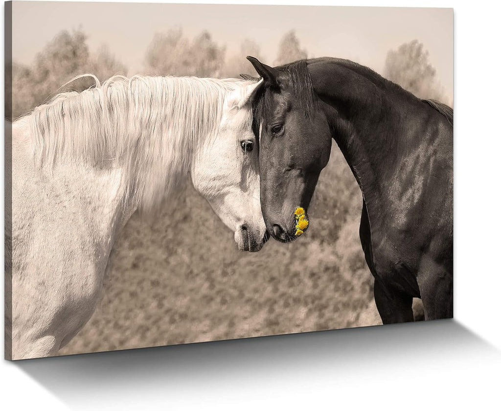 Ranch Horse Canvas Wall Art: Black and White Equines Friendly Painting Lovely Wild Animal Head Prints Country