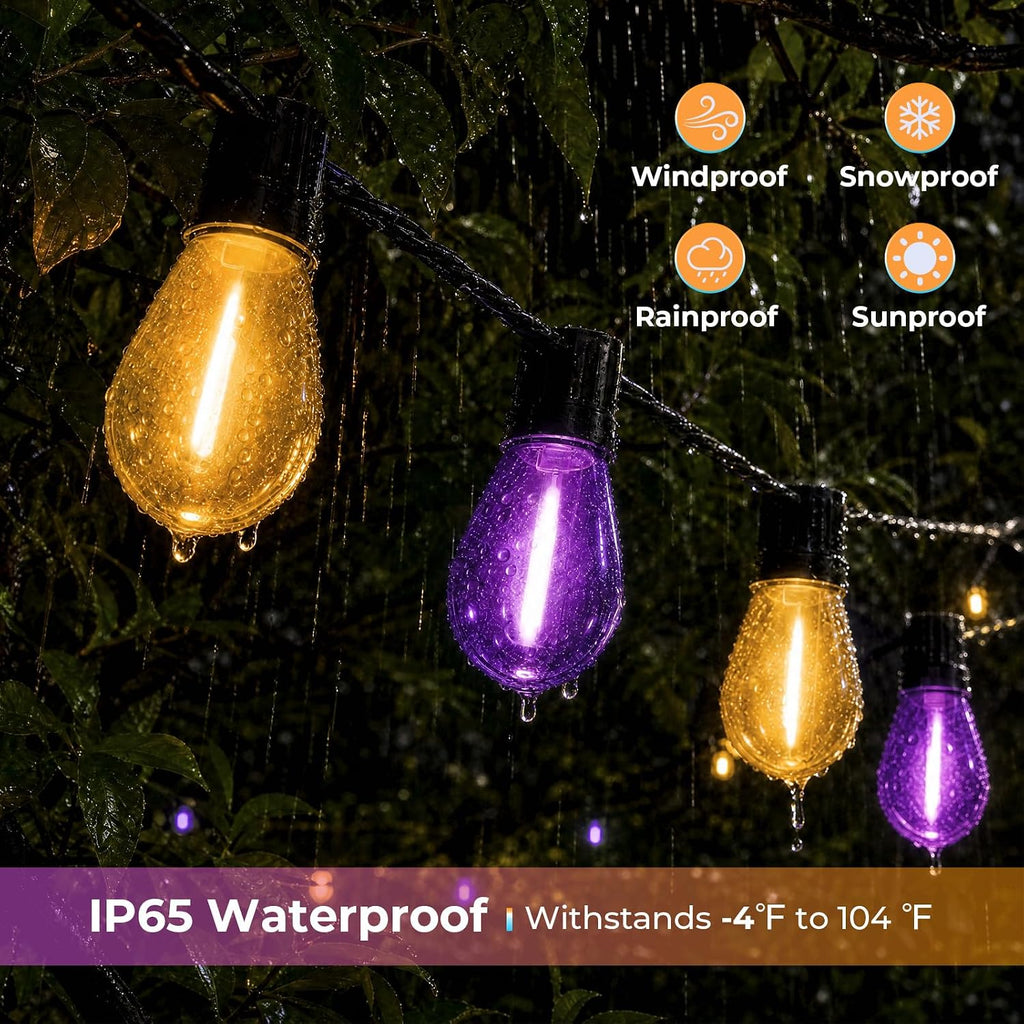 S14 Orange & Purple Replacement Bulbs Lights