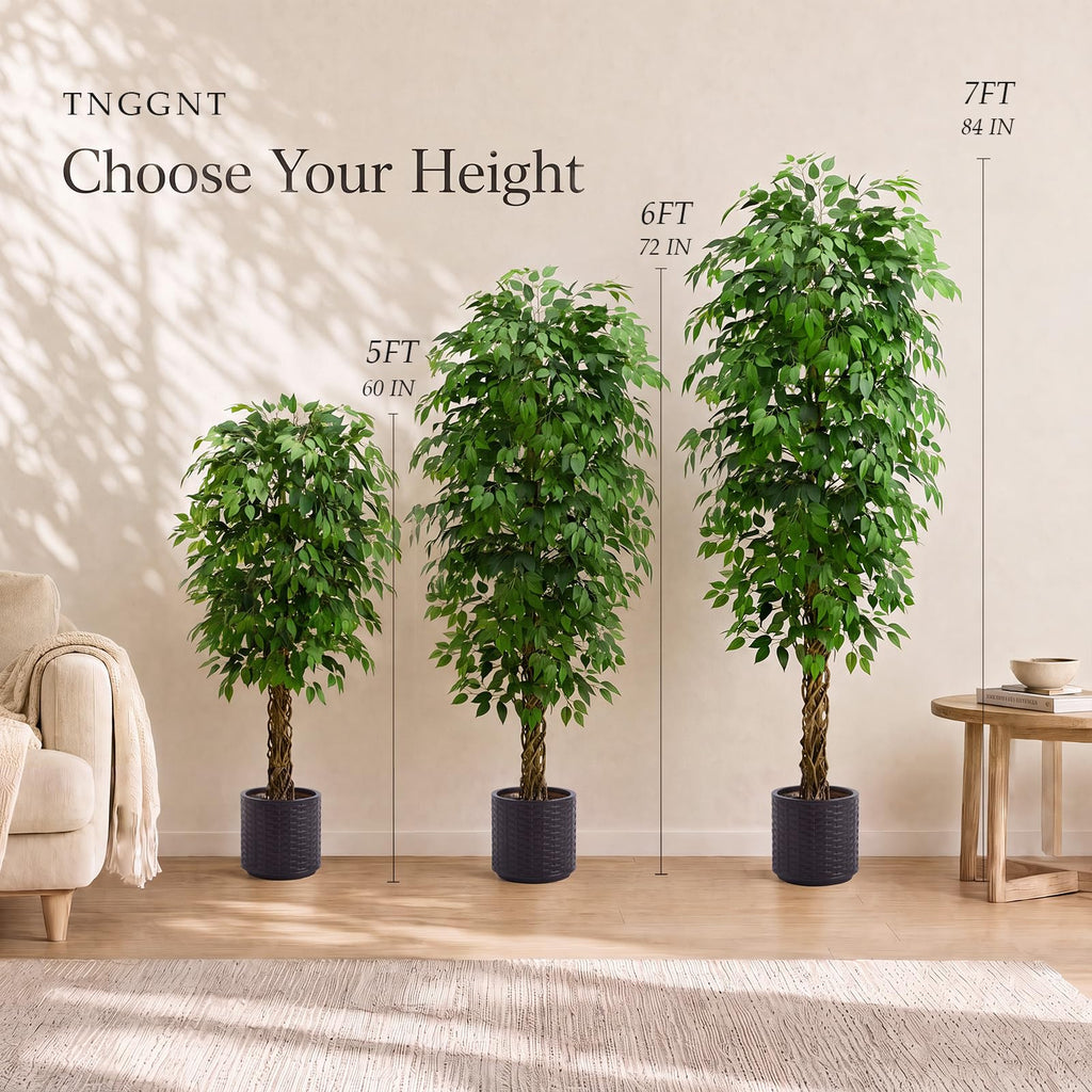 Artificial Ficus Tree:6FT Tall Faux Silk Floor Plant (Black Planter)
