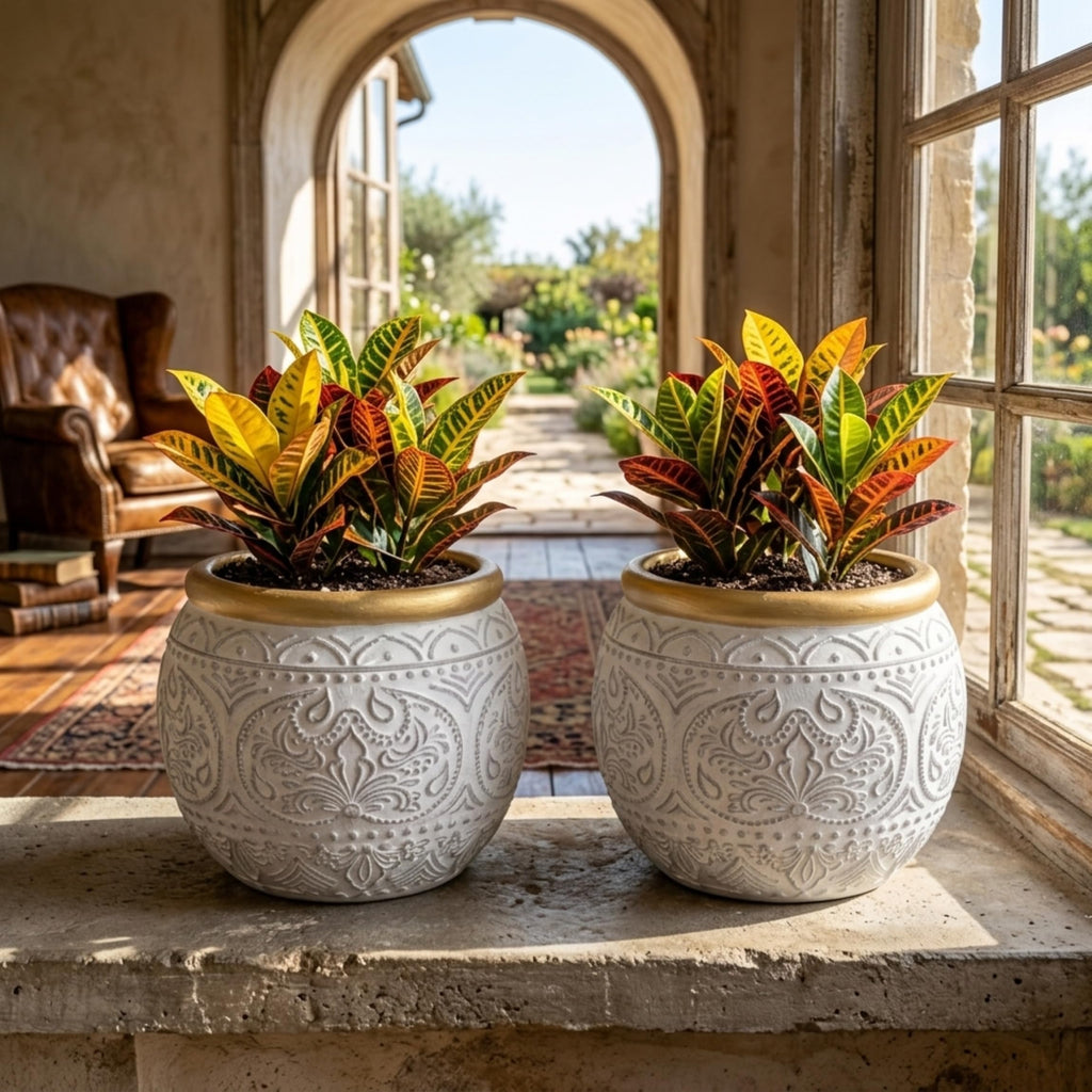 2Pcs 5.9 Inch Cement Planters, Vintage Planter with Gold Rim and Drainage Holes, Decorative Indoor Containers for