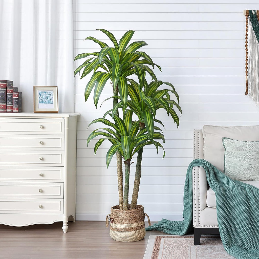 6ft Artificial Dracaena Tree with Natural Trunk