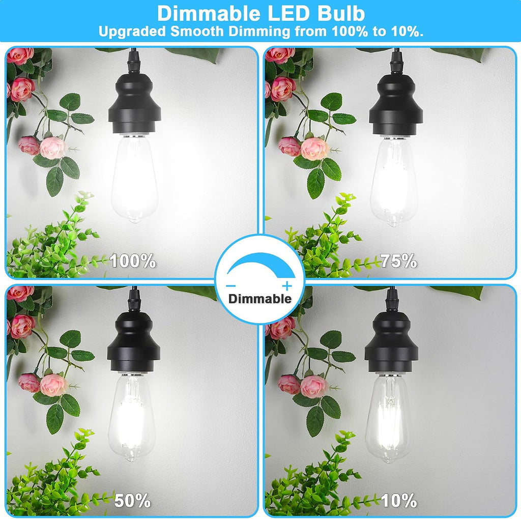 Dimmable Vintage LED Edison Bulb 5000K Daylight White 60W Equivalent
