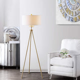 Enrica Brass Gold Tripod Leg 66-Inch Floor Lamp, Contemporary Sculptural Design (FLL4008A)