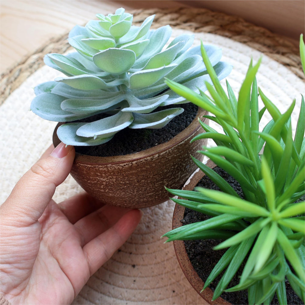 Artificial Succulents Plastic Artificial Green Plant, Fake Succulents Decoration (Set of 2 Succlents in Pots)