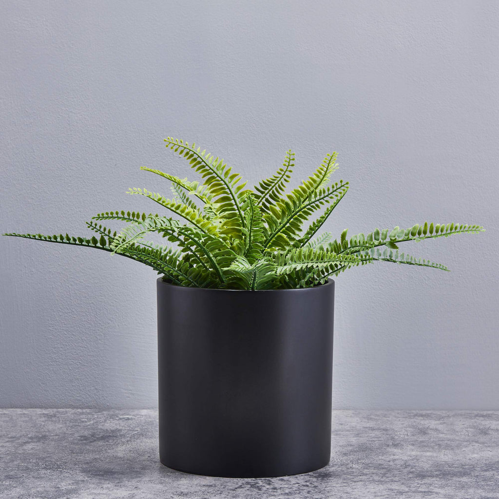 8 Inch Fiberstone Planter - Lightweight Modern Cylinder Plant Pot with Drainage Hole & Plug, Indoor Outdoor Use