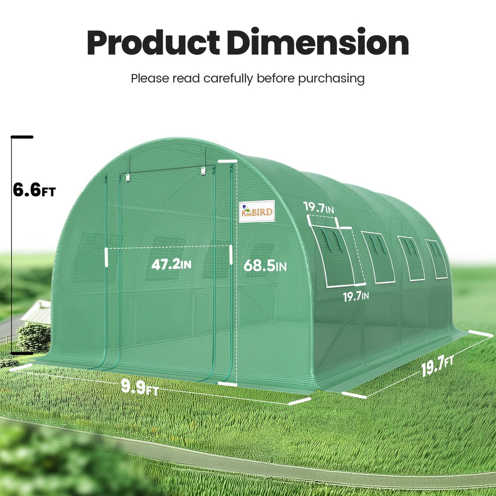 Premium 20x10x6.6FT Greenhouse for Outdoors Large Walk
