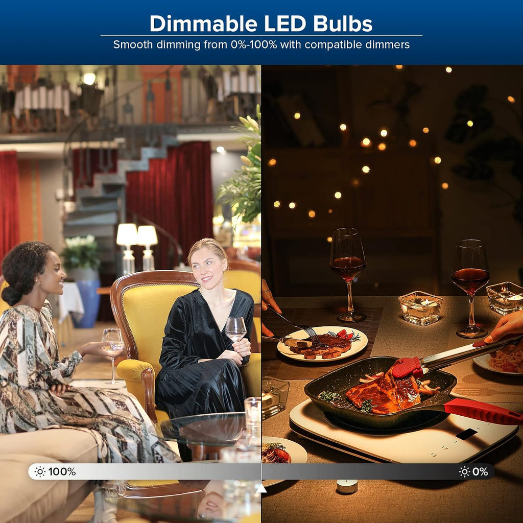 Dimmable LED Light Bulbs Large A21, 250W Equivalent 4000LM, 2 Pack