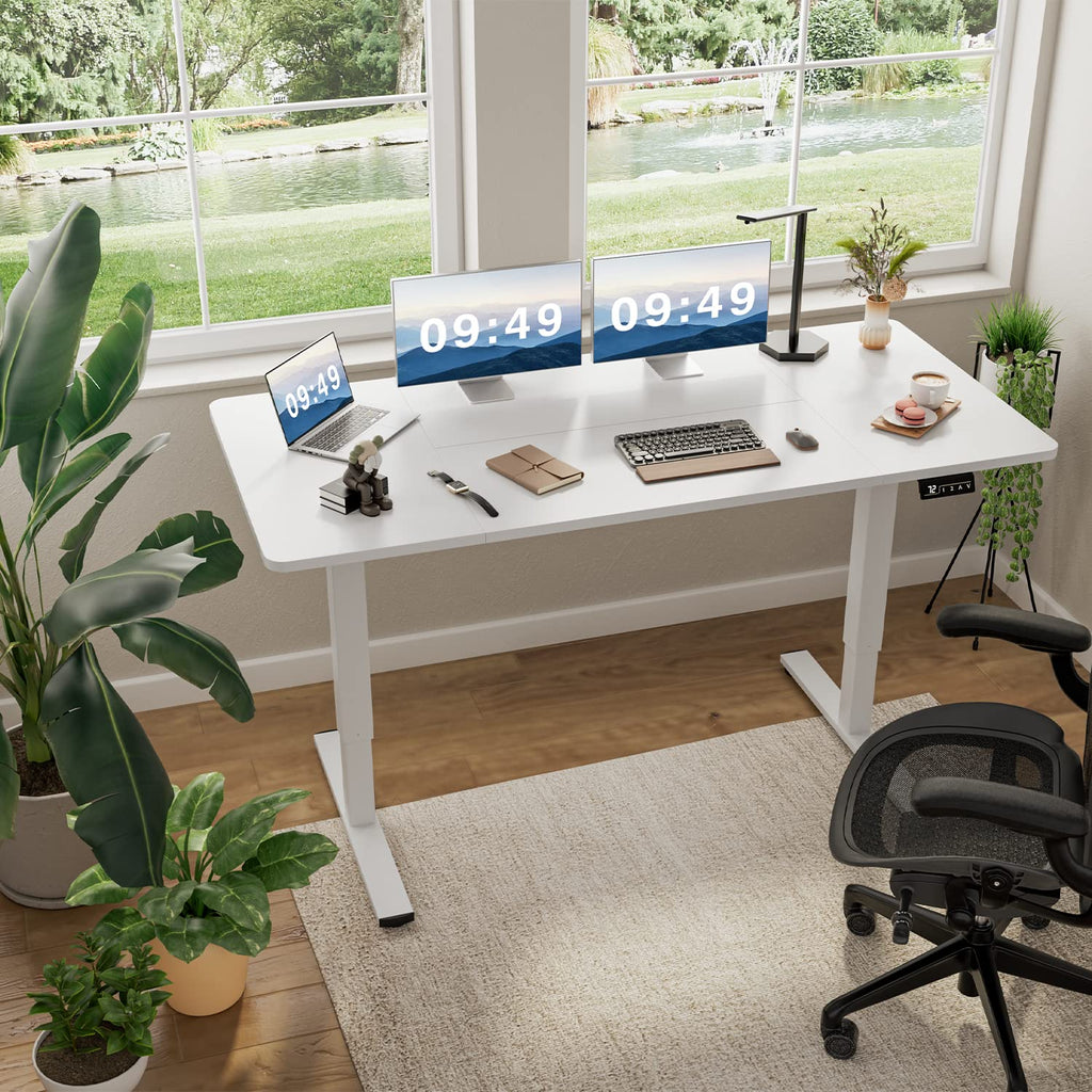 63 Inches Electric Height Adjustable Standing Desk Home Office Desk