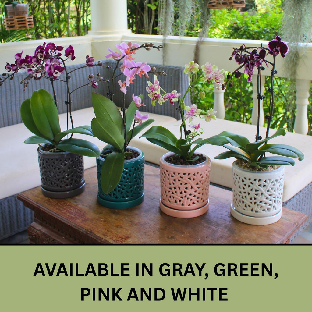 Set of 2 Large Ceramic Orchid Pots with Holes, 6 Inches Wide, for Indoors or Outdoors with Woven String Cut Out Design
