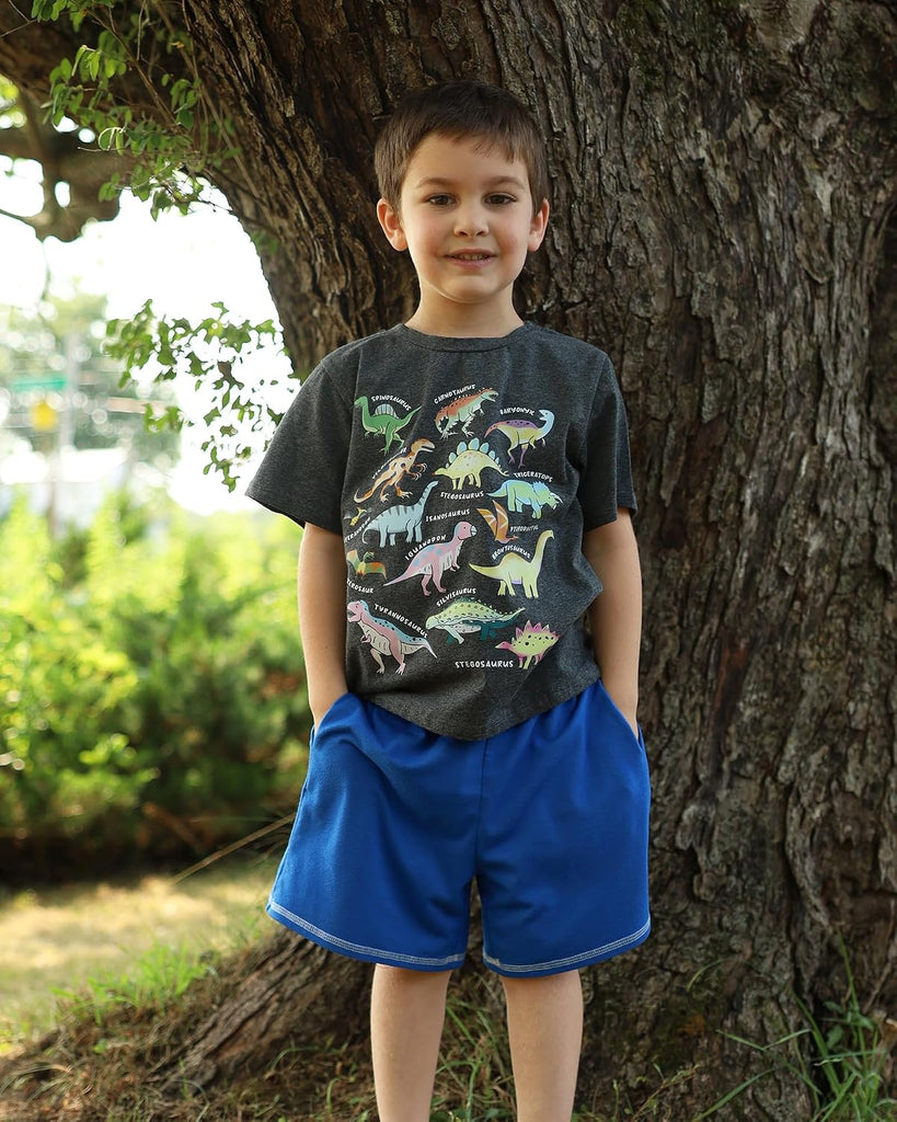 Boys Graphic T-Shirt, Cotton Short Sleeve Shirt for Kid