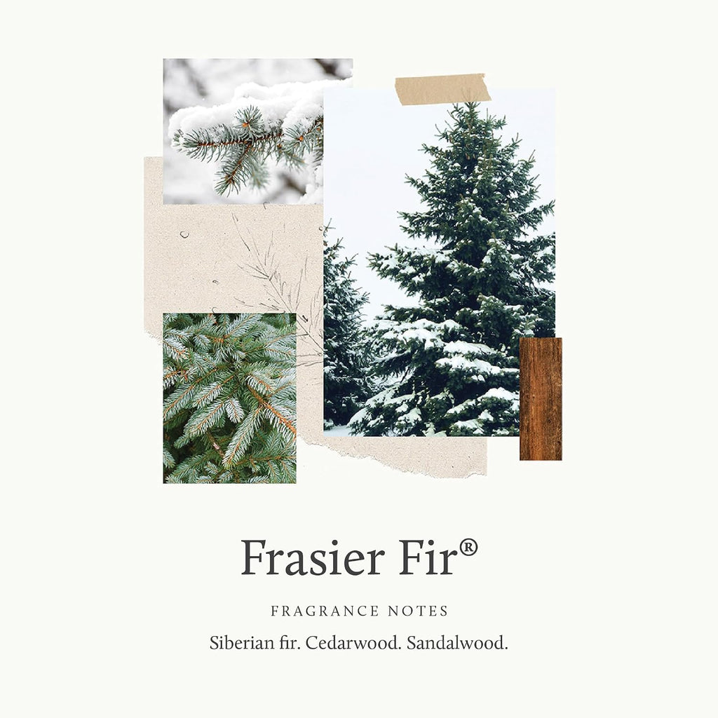 Frasier Fir Votive Candle Set of 3 - Scented Candles - Luxury Home Fragrance Gifts for Women & Men - Home Decor (Pack