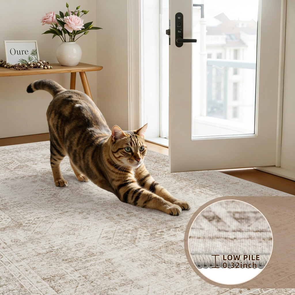 Hallway Washable Runner Rug: Neutral Kitchen Carpet Brown