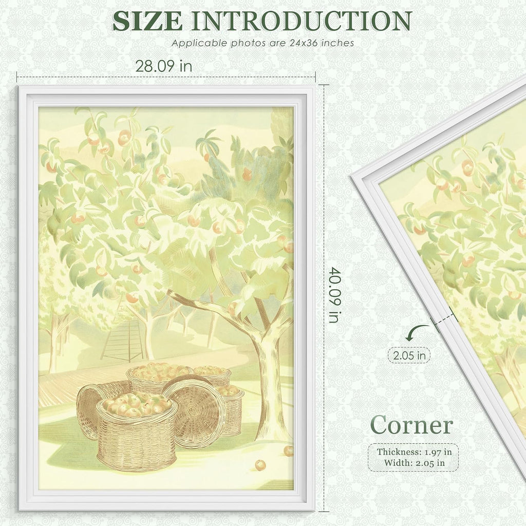 24x36 Poster Frame, Solid Wood Frame with Wide Edges, White, 1 Pack | Display 24x36 Without Mat, Horizontal or
