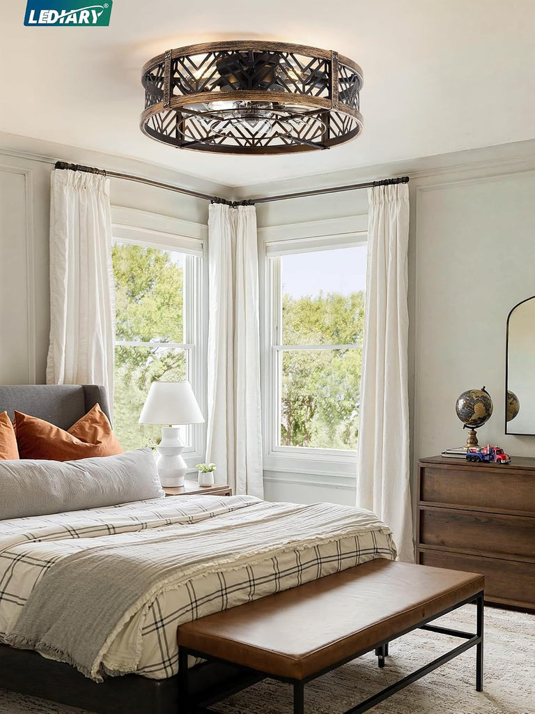 20 Inch Caged Ceiling Fan with Light, APP&Remote