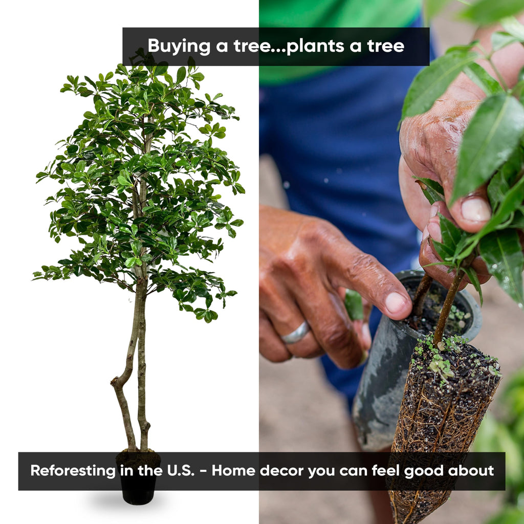 Handmade 6ft Italian Black Olive Leaf Artificial Tree with Ethically Sourced Real Wood Trunks, Hypoallergenic
