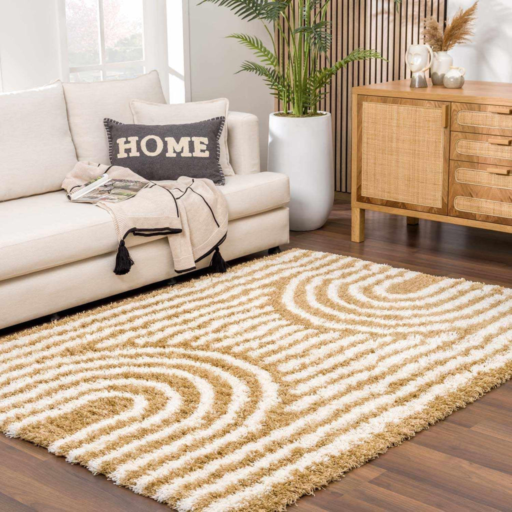 Stratosphere Area Rug - Abstract Striped Circles Swirl Ombre - Bohemian Transitional Modern Contemporary Boho - Plush