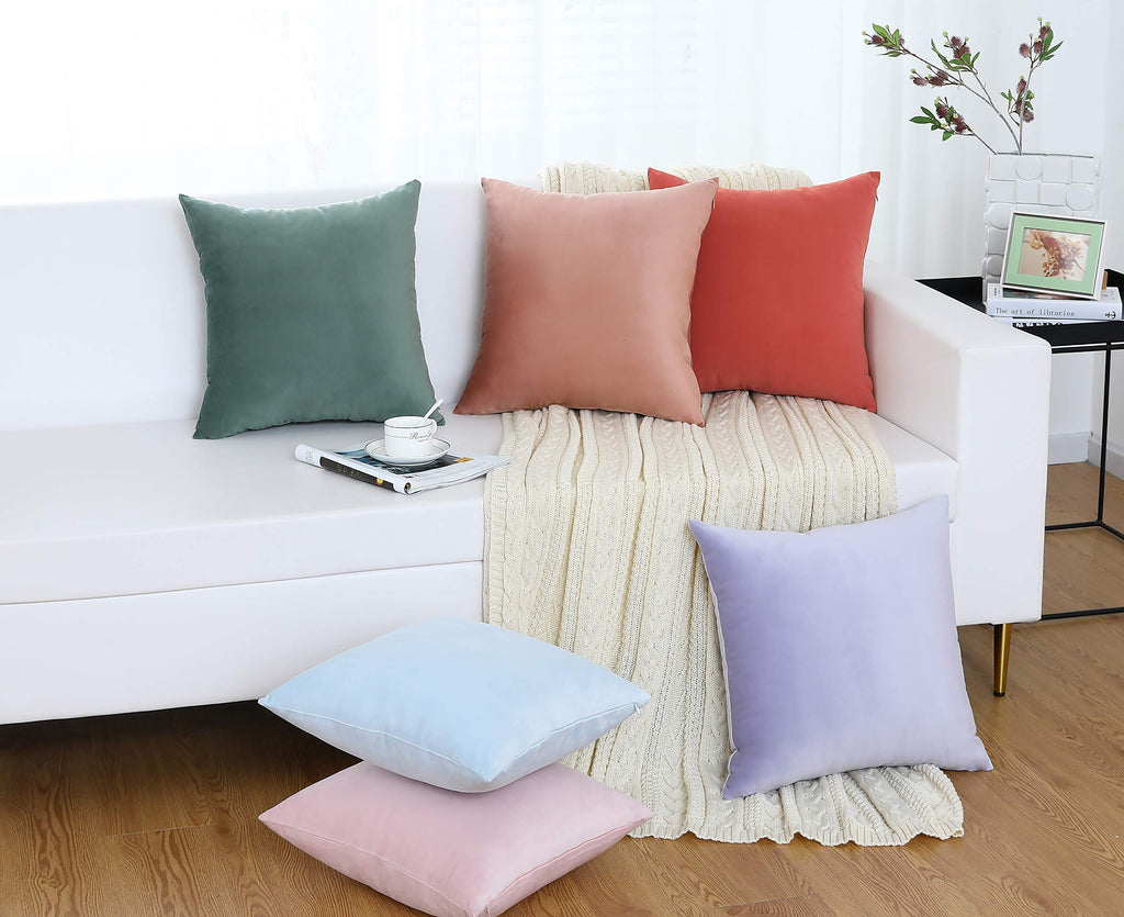 Set of 2 Comfy Soft Thick Velvet Throw Pillow Covers for Sofa Couch, Decorative Solid Square Cushion Cases Car (20 x