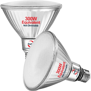 Ultra Bright PAR38 Outdoor Flood Light, 300W Equivalent, 5000K, 2-Pk