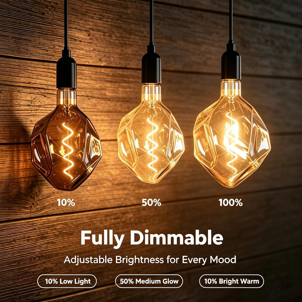 T170 Large Oversized Edison LED Filament Bulb, 4W Dimmable