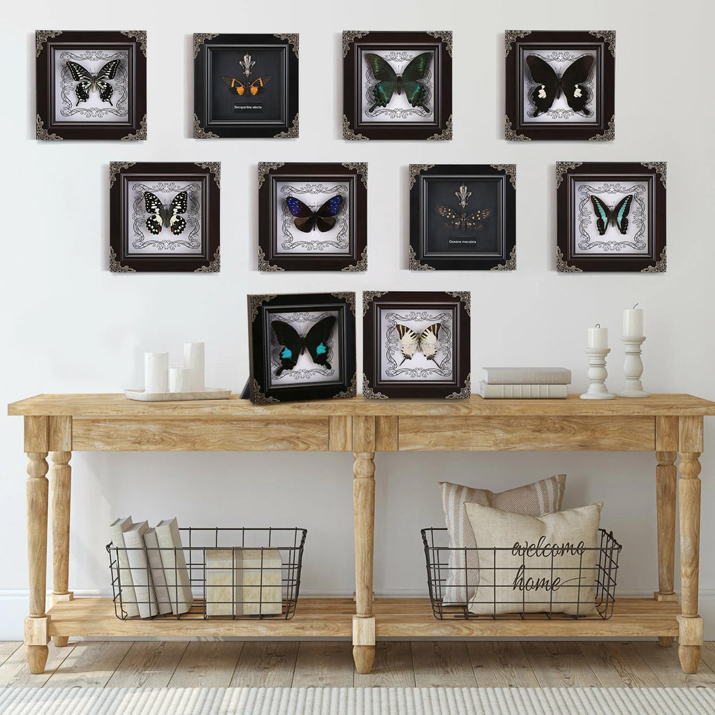 Real Framed Butterfly Specimen, Handmade Butterfly Taxidermy Shadow Box, Goth Gifts for Women, Dark Academia & Witchy