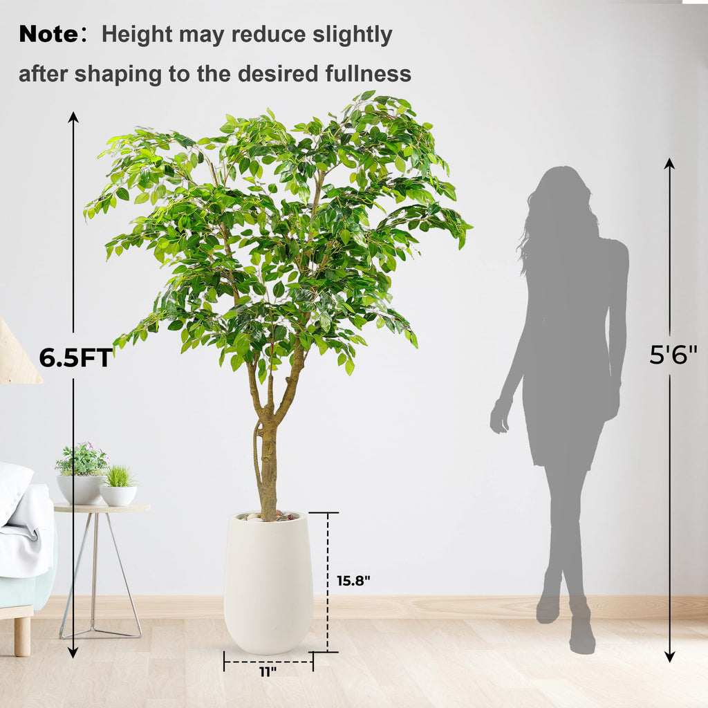 6.5FT Artificial Ficus Tree with White Planter, Moss and Pebbles
