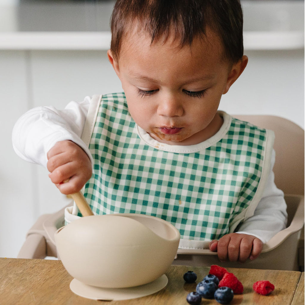 Bib for Toddler, Waterproof 2 pack - Fungi + Verdant Gingham Size 2