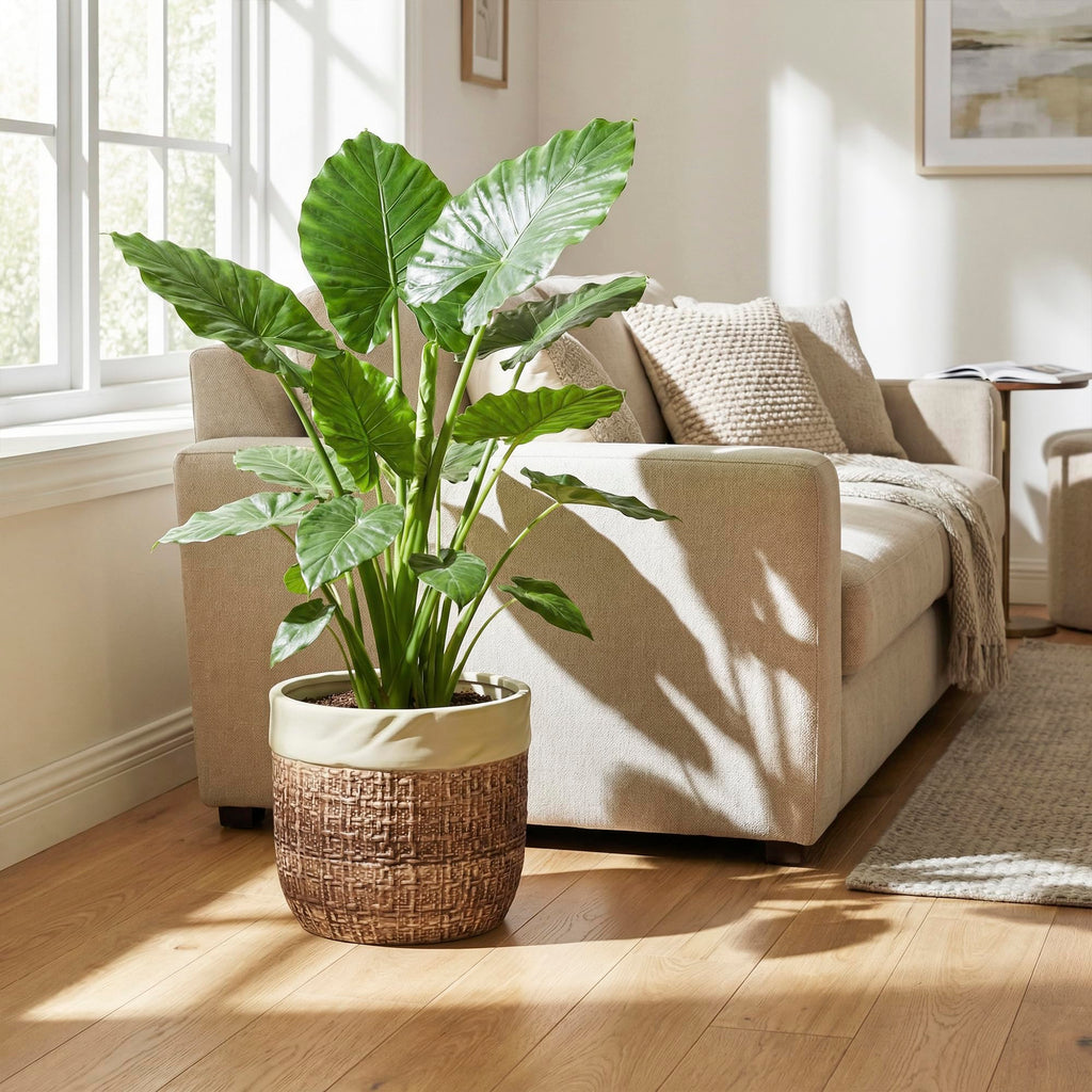 Ceramic Planter - 9.8 Inch Plant Pot for Indoor Outdoor Plants, Boho Ceramic Plant Pots with Drainage Hole and Plug