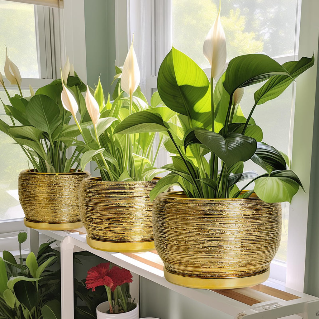 Ceramic Planter - 6 Inch Plant Pot Indoor Outdoor, Modern Round Planter with Drainage Hole and Plant Saucer