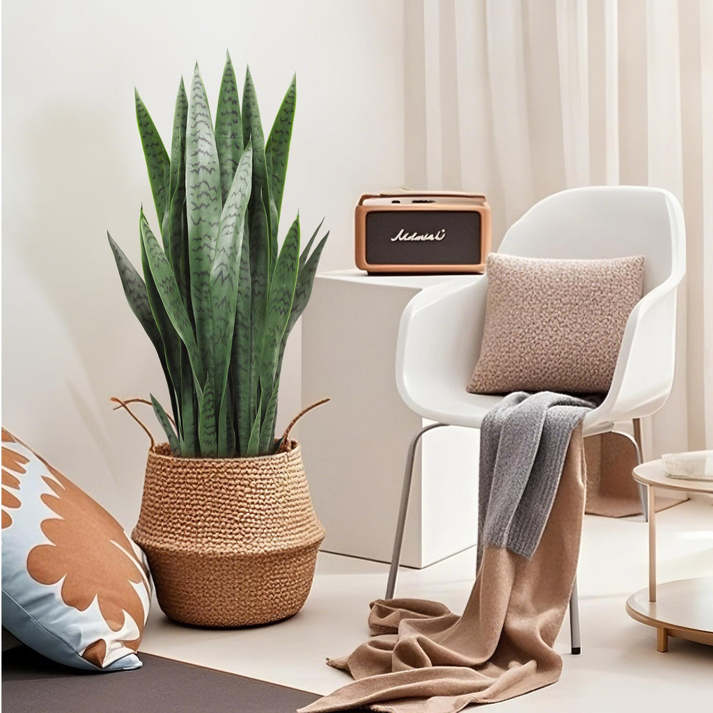 3ft Artificial Sansevieria Trifasciata Prain, Tropical Faux Snake Plant, Fake Mother in Law Tongue Plants, Greenery