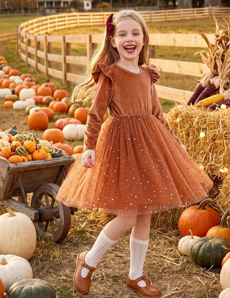 Toddler Tutu Dresses Little Girls Velvet Tulle Fall Winter Dress