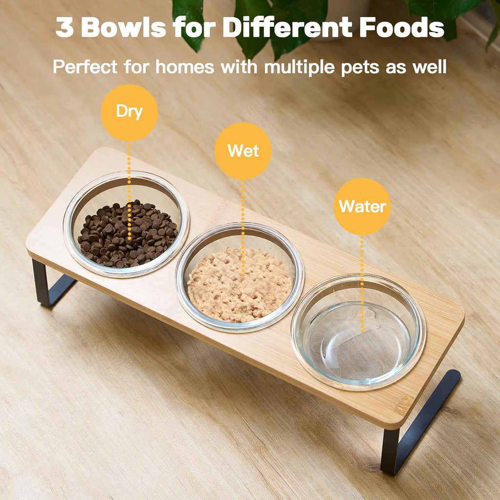 Elevated Cat Bowls, 15° Tilted Cat Food Bowl