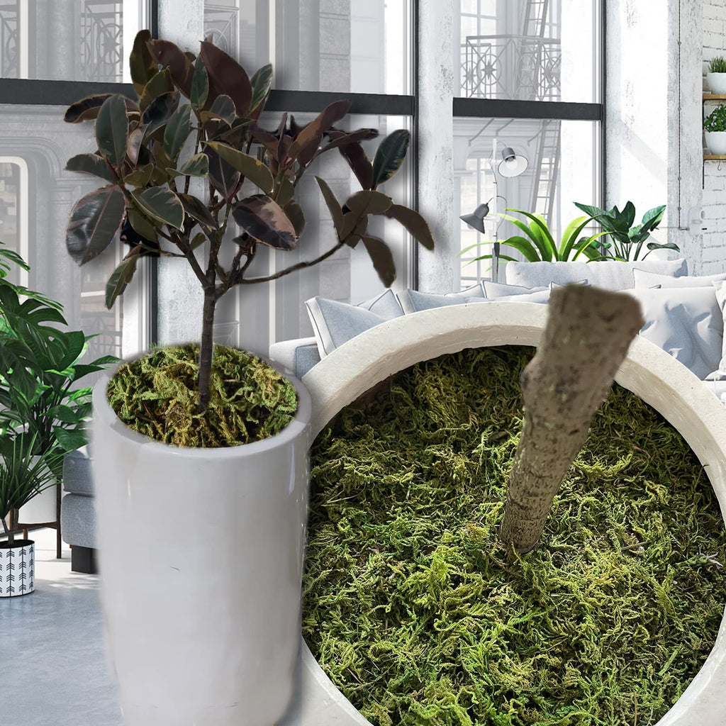 35 OZ Fake Moss for Potted Plants Artificial Moss for Fake Plants Faux Moss for Planters Decorative Moss for Craft