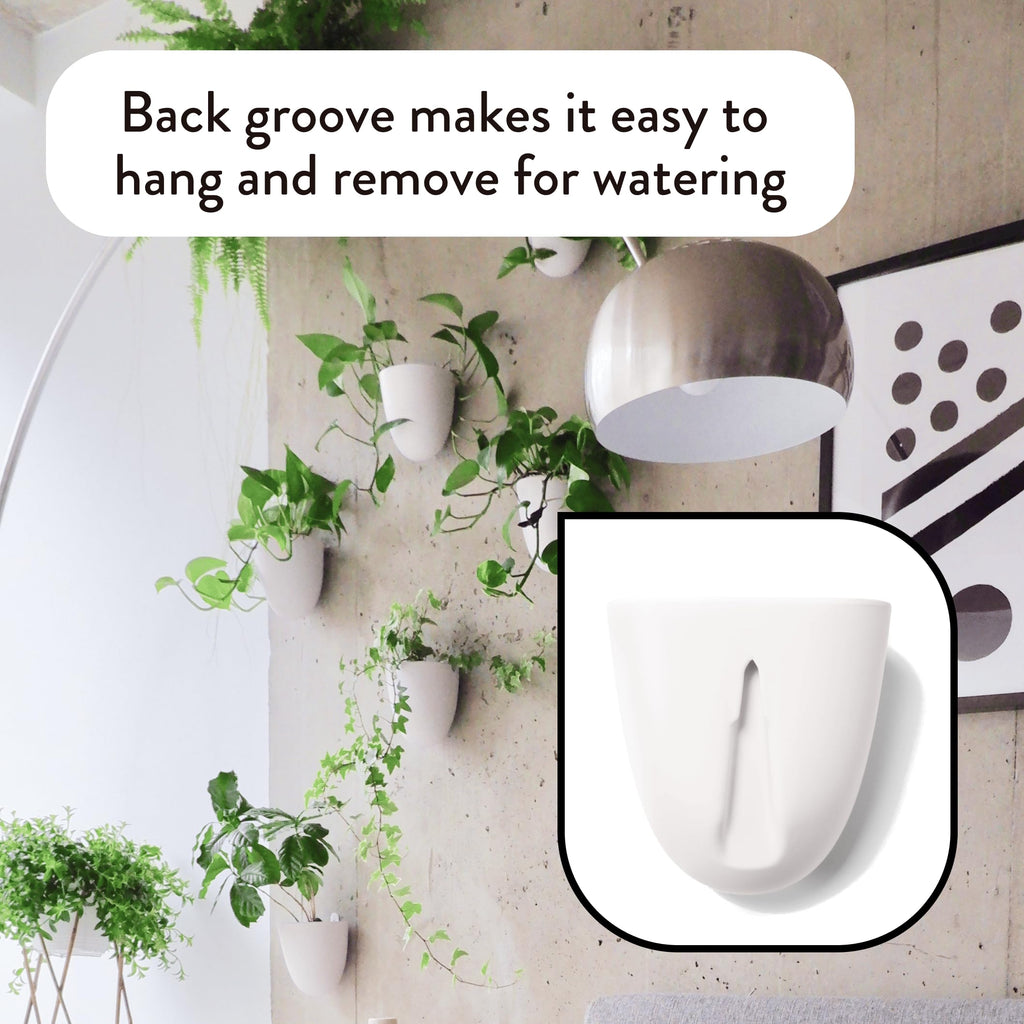 PlantPod Luxe - Self-Watering Wall Planters (Set of 6) - Easy to Water and Install - Lightweight - Design Your Own