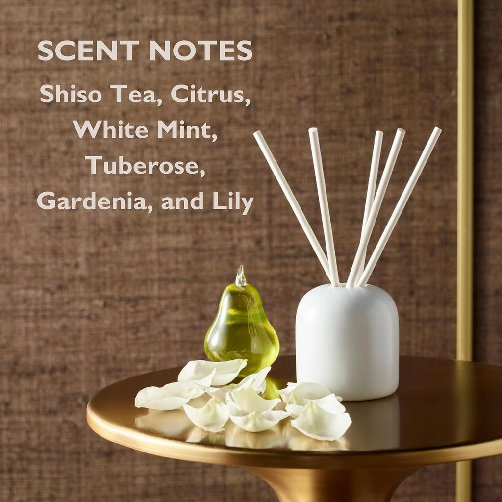 Renaissance Shiso Tea Scent 9" Diffuser Set - Luxury Hotel Collection - Vase Not Included - 5 Sticks - Set of 5