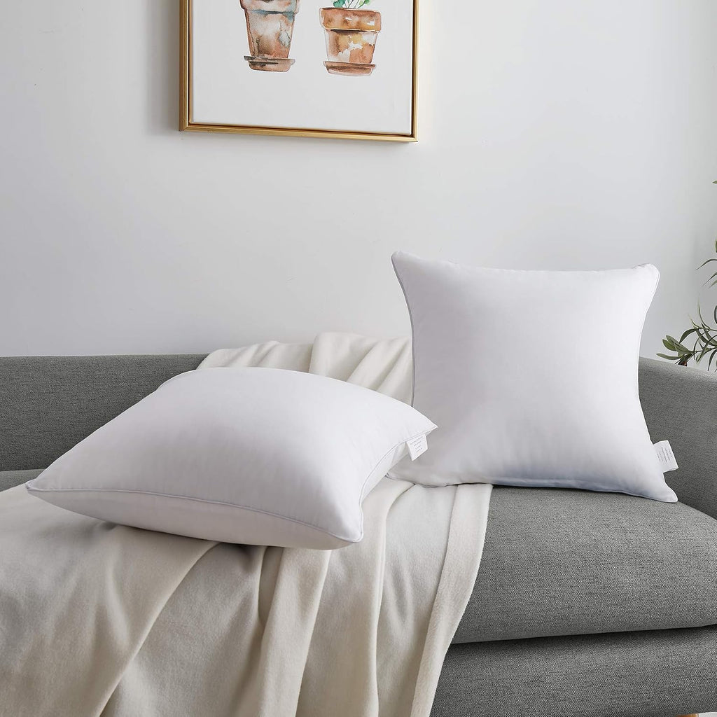 20 x 20 Throw Pillow Inserts () with 100% Cotton Cover - 20 Inch Square Interior Decorative Sofa Pillow - Set of 2