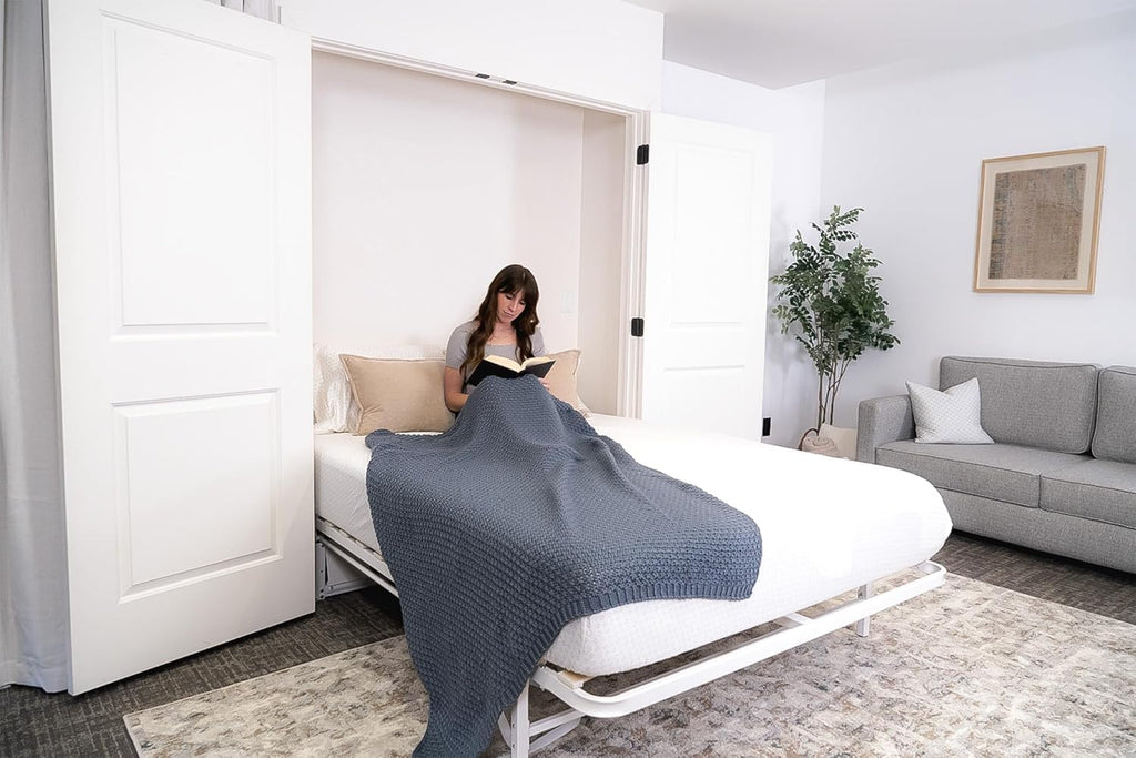 Murphy Bed Frame (Queen) Vertical Wallbed, Powder-Coated Steel Frame for Folding Cabinet, Pull-Out Bed, Hidden