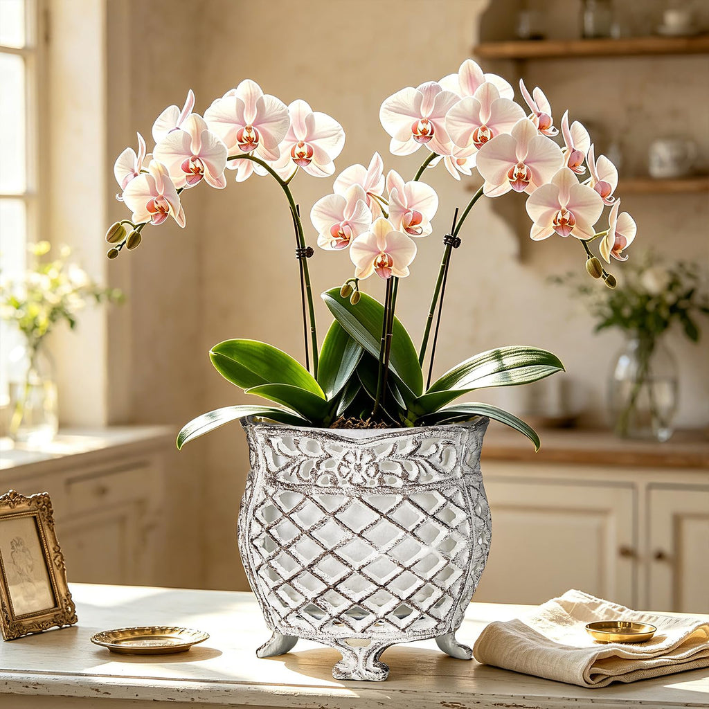 Vintage Cast Iron Urn Planter with Non-Woven Bag, Vintage White