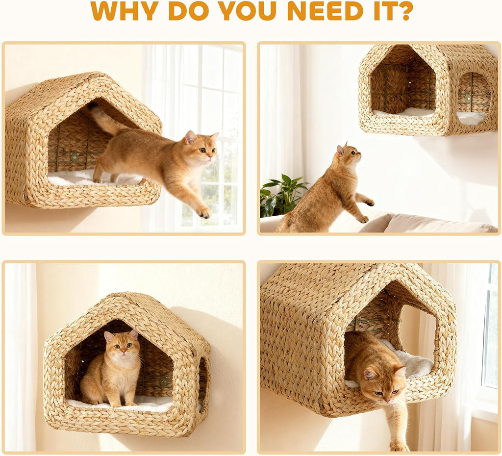 Wall Mounted Cat House Washable Cushion Indoor Kittens Natural