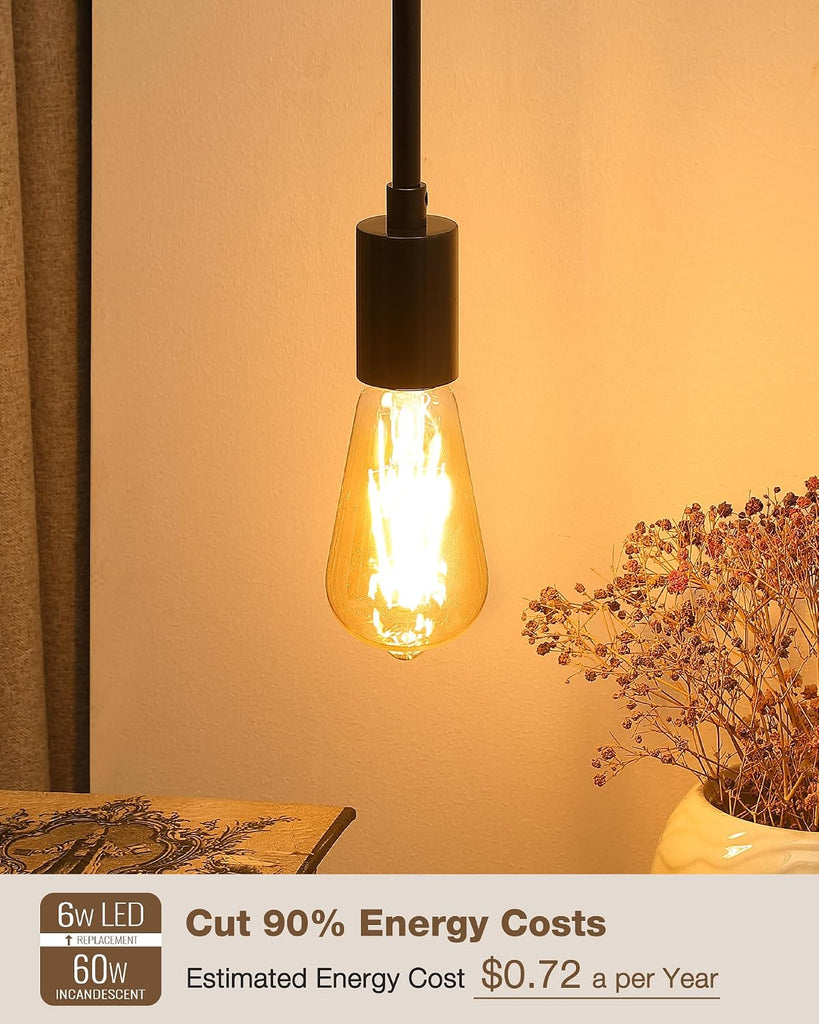 Amber Edison Light Bulbs, Vintage 2200K E26 60 Watt Equivalent 6 Pack