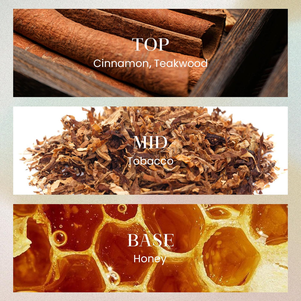 6.3 oz Large Reed Diffuser Set | Tobacco Teakwood Scent Oil Diffuser with Sticks | Hotel Collection Non-Toxic