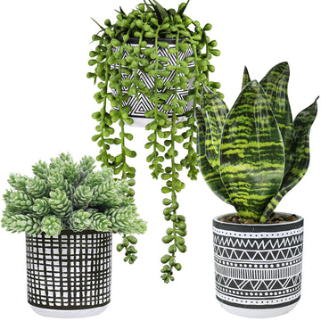 3 Pcs Small Potted Plants Artificial Succulents Hanging Plants and Faux Tropical Snake Plant in Black Geometric Pots