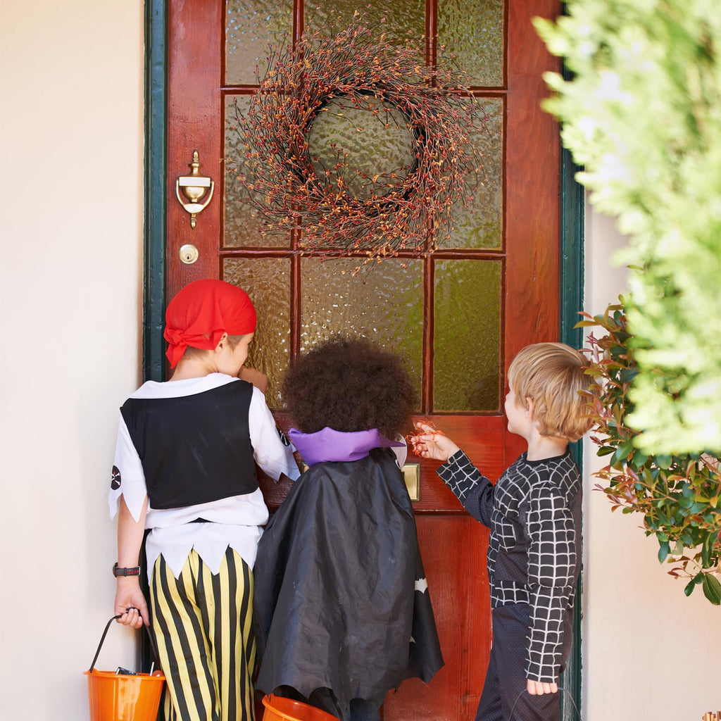 24 Inch Fall Wreath for Front Door Full Artificial Grapevine Wreath