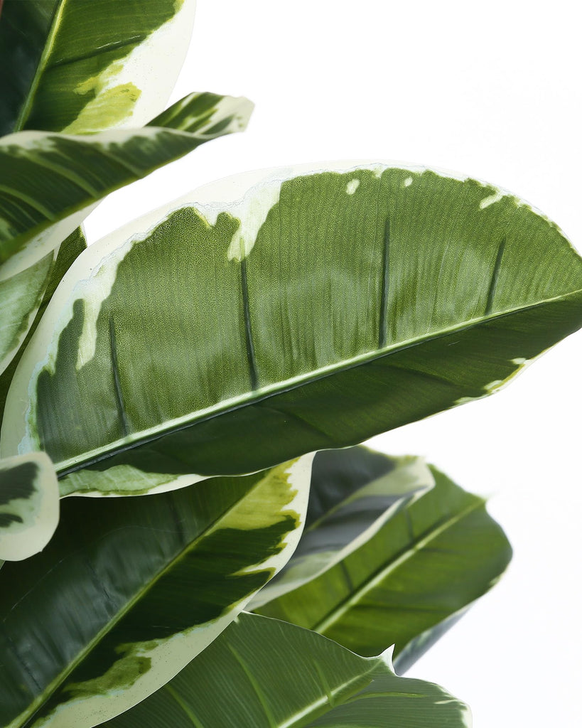 Artificial Rubber Tree Plant 7ft Tall Faux Ficus Tree Potted Fake Tropical Plants Decorative House Plants Large Floor