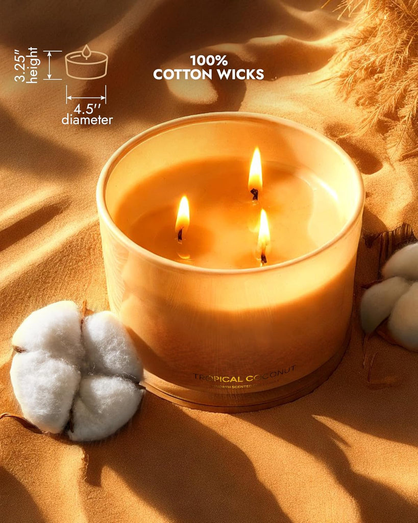 Luxury Coconut Soy Candle | Large 3 Wick Jar Candle | Up to 50 Hours Burning Time | Tropical Beach Scented Candles - Set of 12